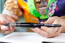 Da Vinci, 498 CASANEO, Wash Brush sf