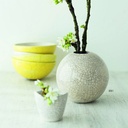 Botz-9300-Brush on Glazes 1020° - 1060°C