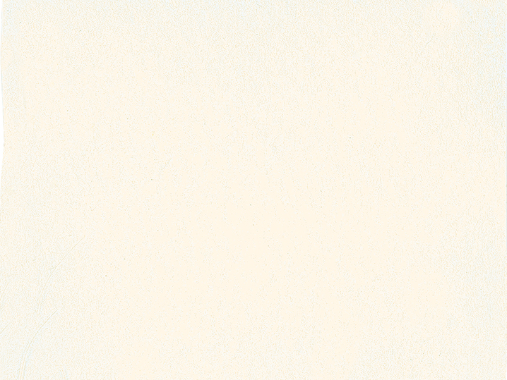 [SM-16111044] Schmincke, Akademie Aquarell, 1/2 Pans (111 opaque white)